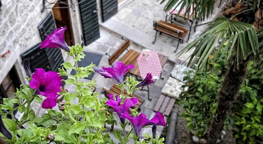 Apartments Adriatic
