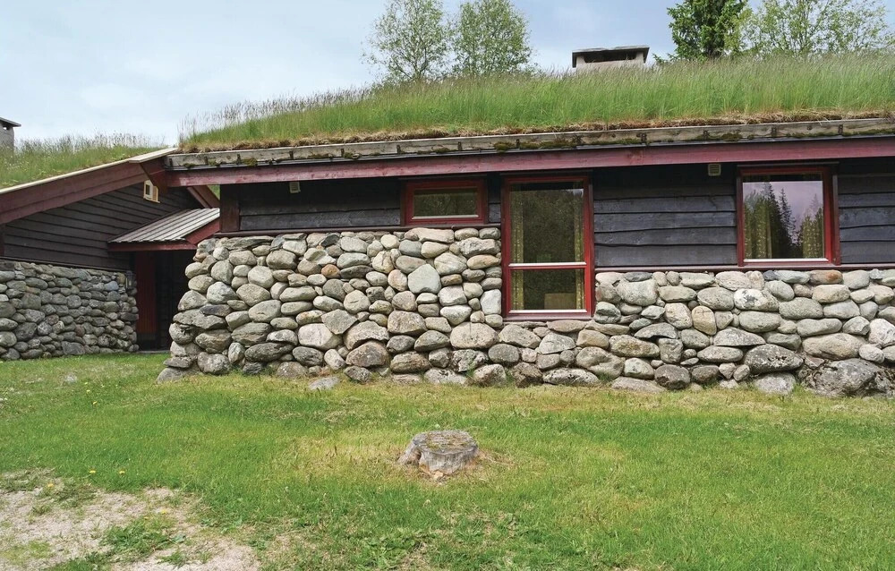 Amazing Home in Hemsedal With 1 Bedrooms and Wifi
