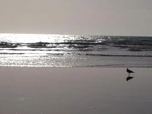 Vendée Vue Mer