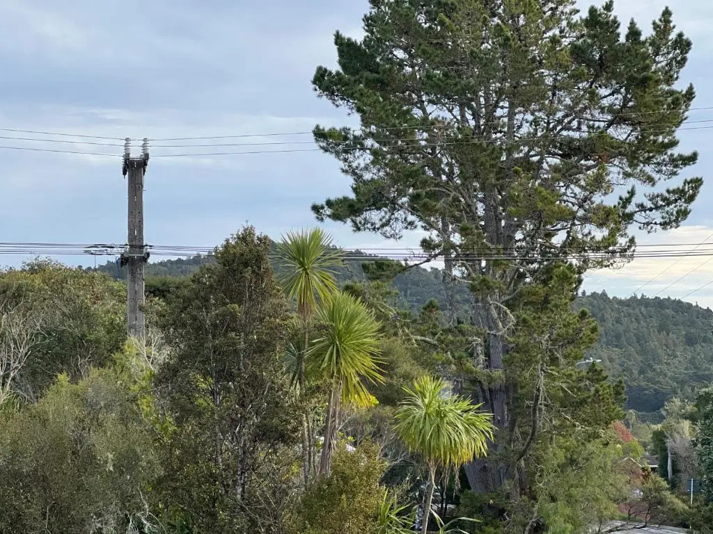 Waitakere Ranges Bed & Breakfast