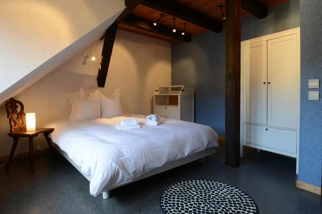 KAYSERSBERG city center - House "AUX 7 FORGERONS"