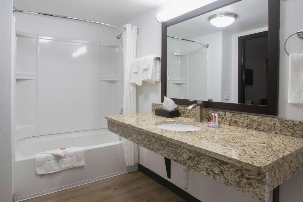 Econo Lodge Lithonia - Atlanta East