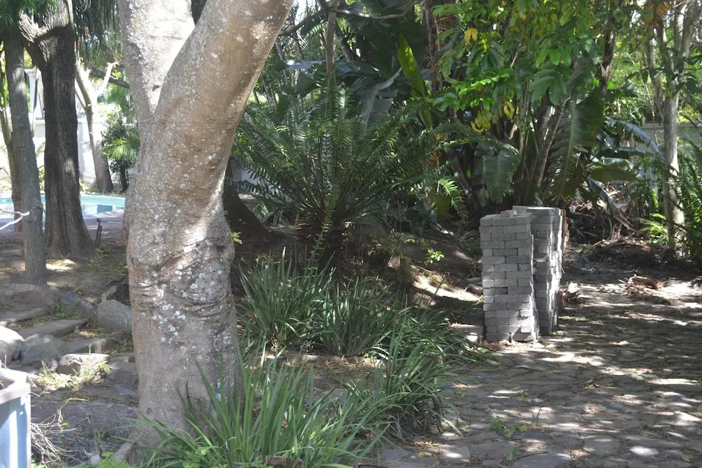 Cycad Lodge