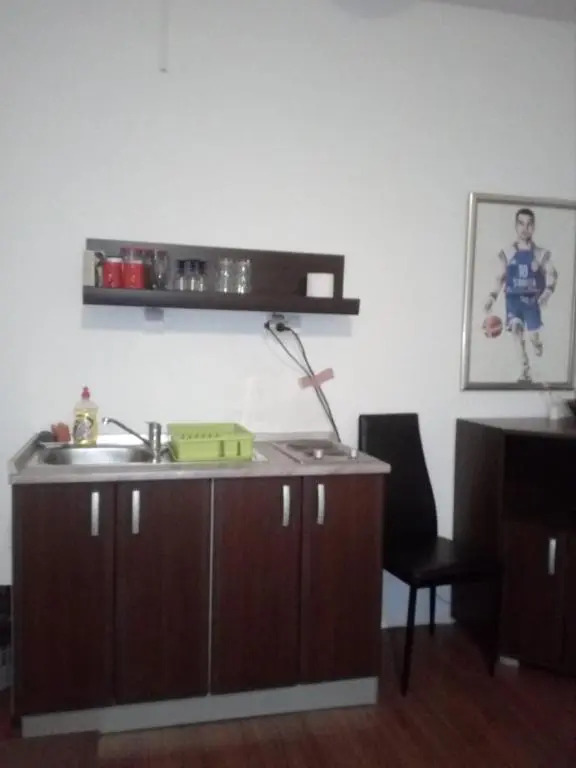 Apartment Viktor stan na dan