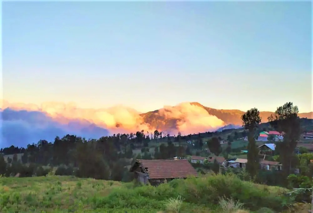 Rahayu Jawarika Bromo Hotel