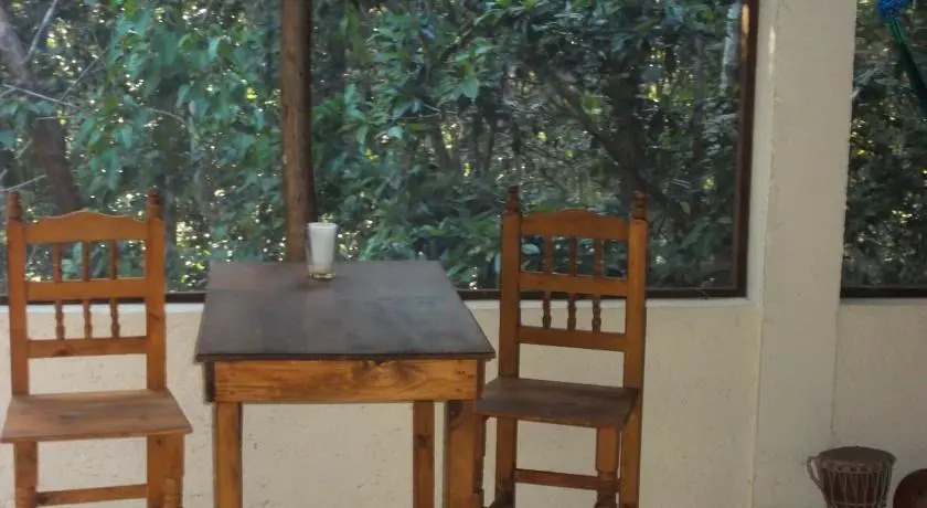 Treetop Palapa