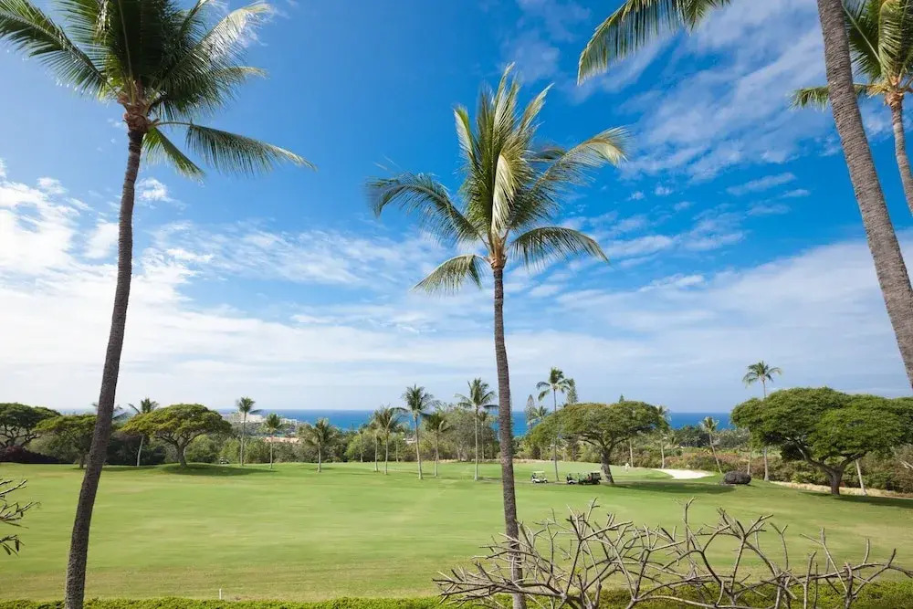 Ocean & Golf Course Views - Pool - Vrkcv