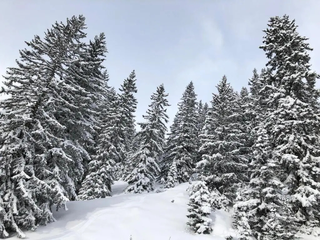 Mondschein Chalet Ski-In Ski-Out