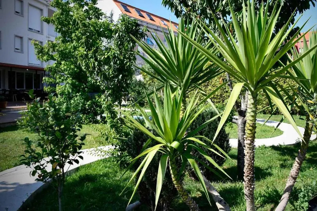Pincheiro Apartamentos Turísticos
