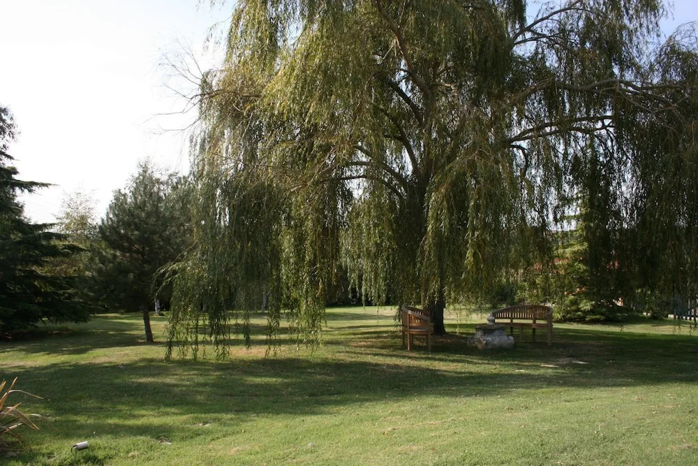 Le Clos de Mara