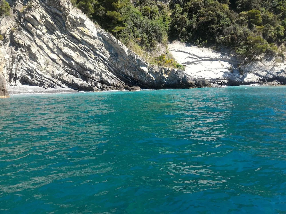 Beautiful View 56