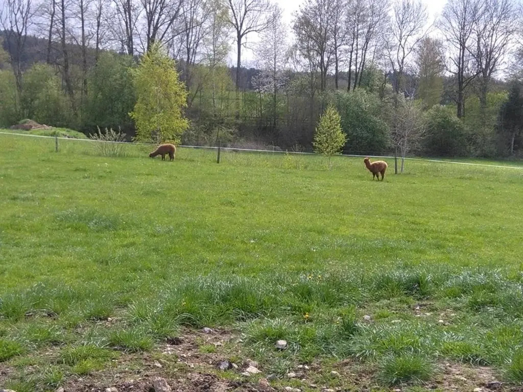 Familie Meimer