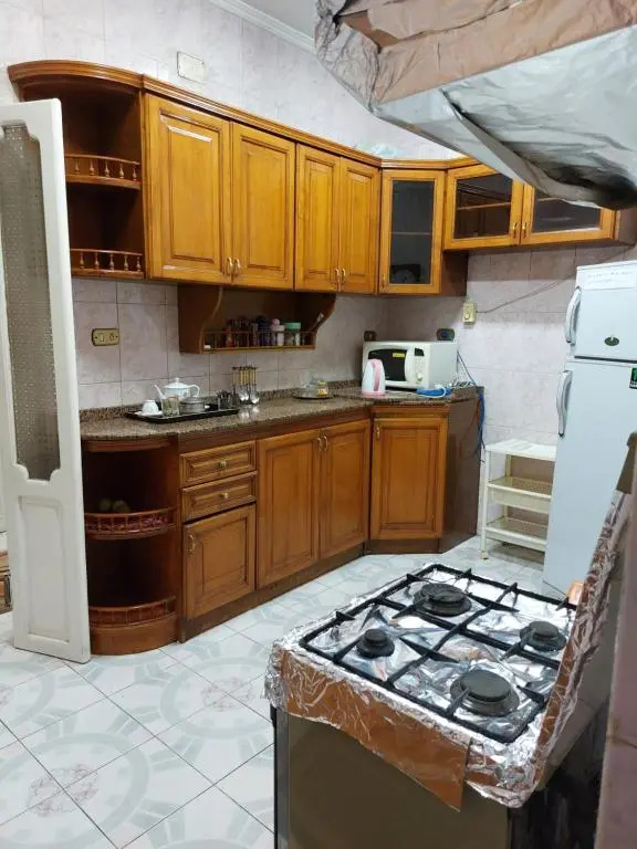 1 bedroom apartment in the heart of Cairo , just 15 minutes from the airport