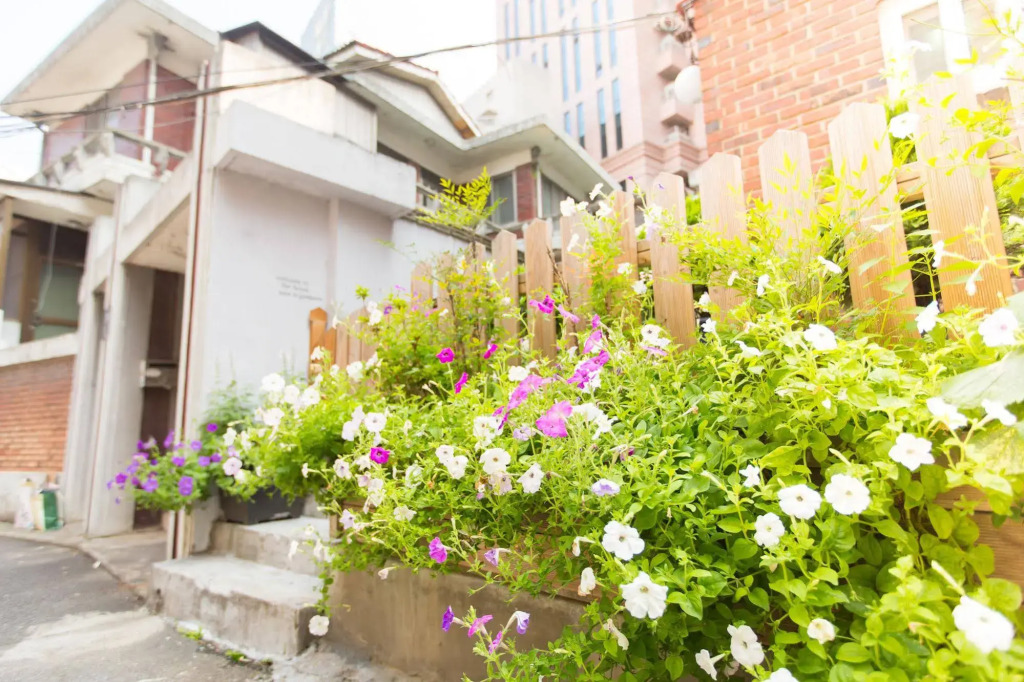 Noaz Raon House