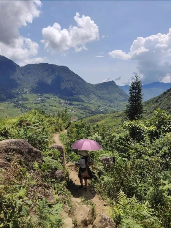 Indigo Snail Boutique Hmong Homestay