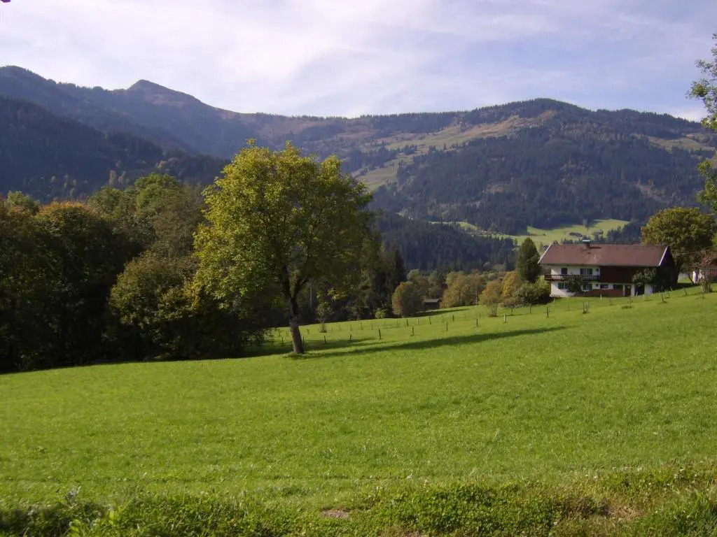 Schrandl Apartment Penningberg