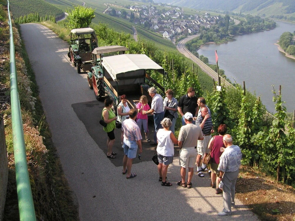 Ferienweingut Rainer Hirschen
