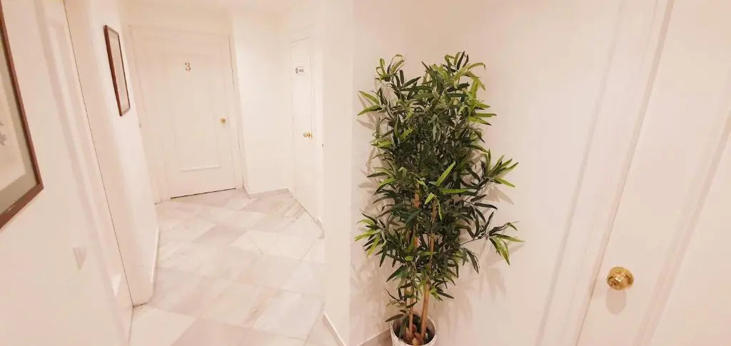 Fan Rooms Duquesa