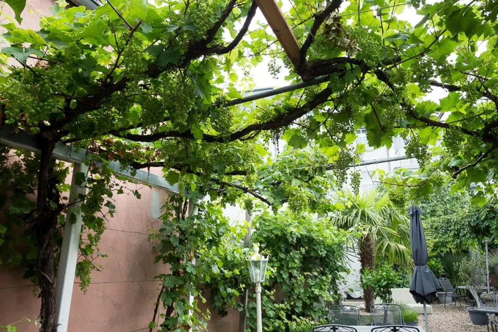 Landhaus Zur Issel