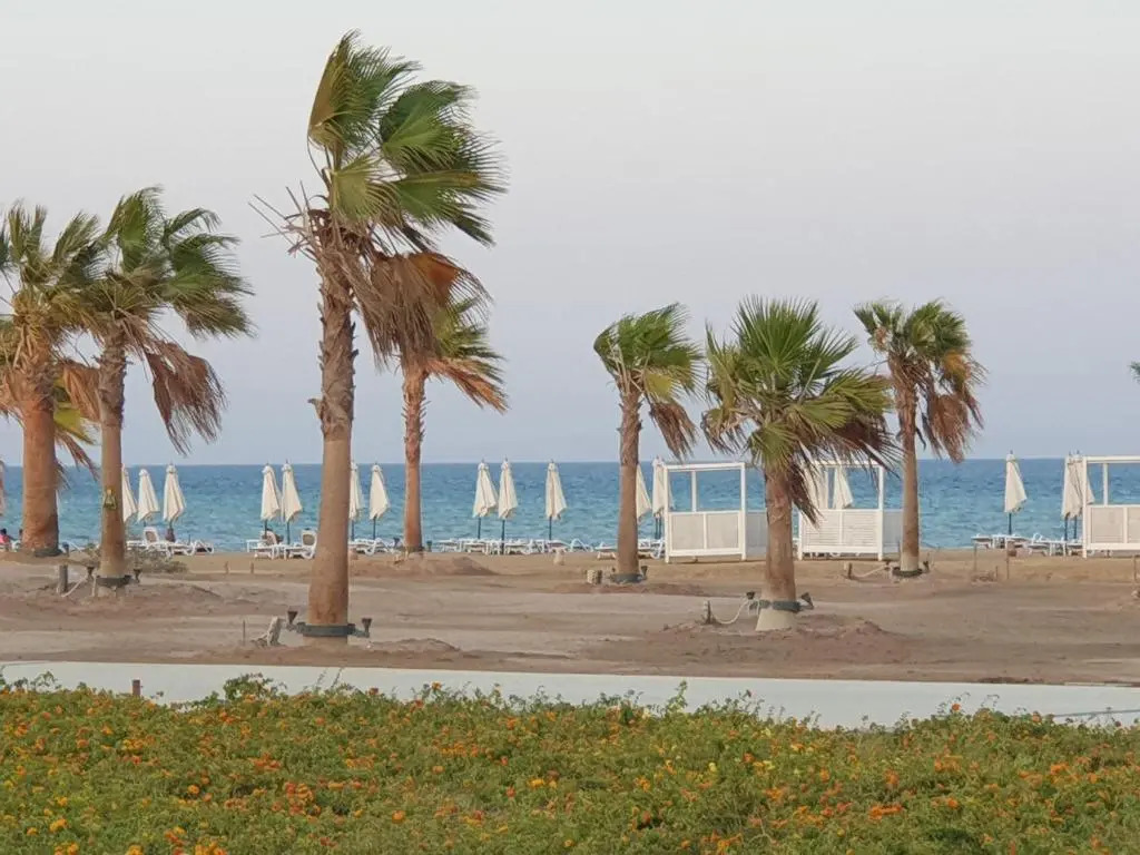 Mangroovy El Gouna