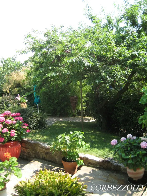 La Morosa