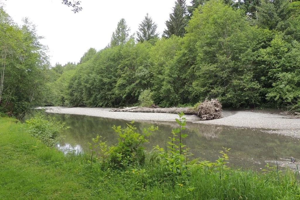 Remote Renfrew Riverside Retreat