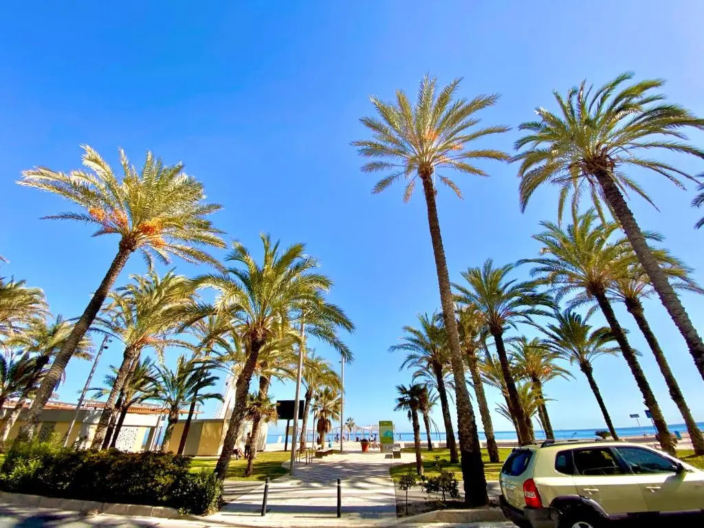 Nereo 7 Primera Linea de Playa San Juan Piscina, Parking wifi Inmobiliaria Leo