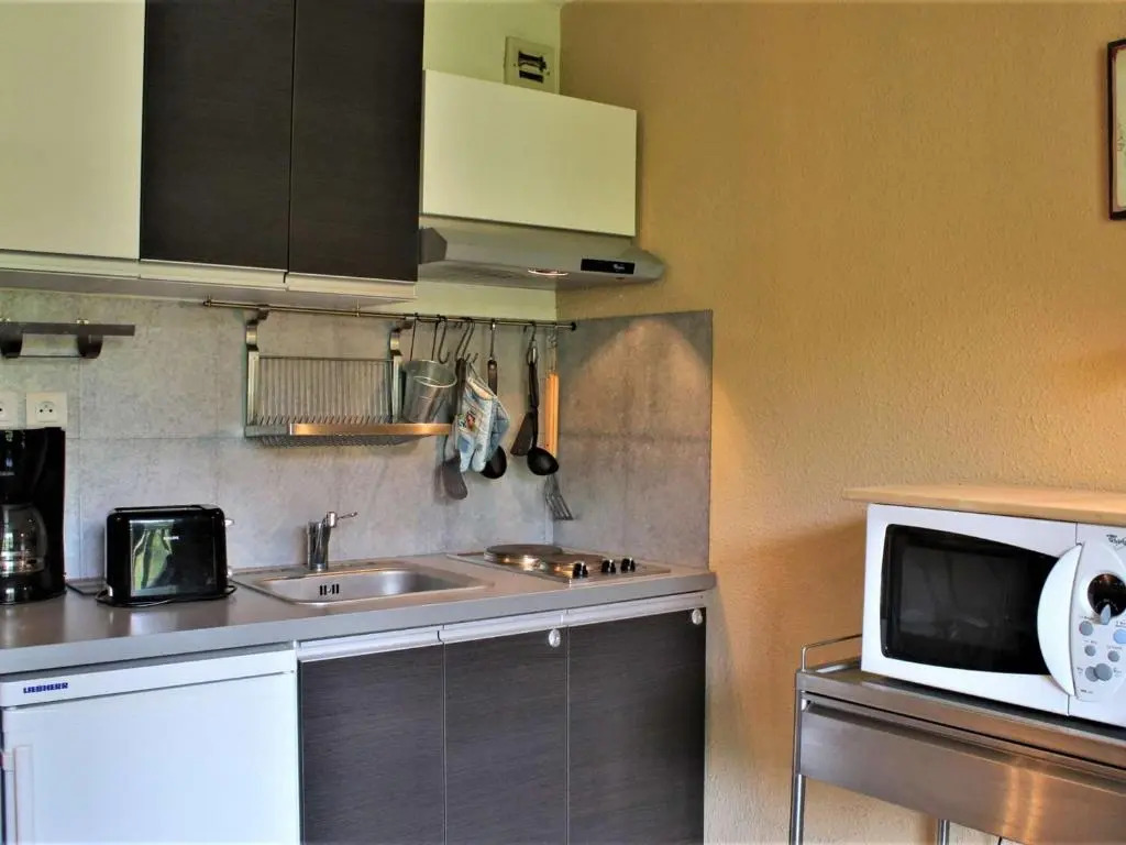 Appartement cosy 2 pièces avec balcon et accès piscine à Risoul - FR-1-330-164