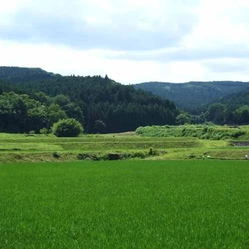 Terayama Kosen