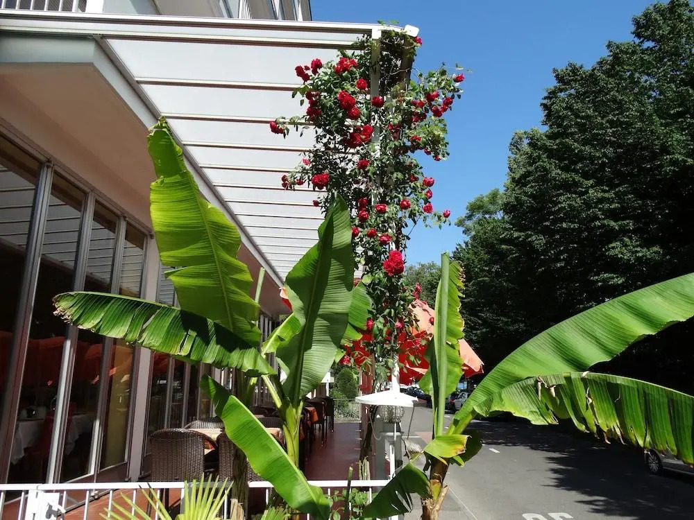 Hotel Excelsior