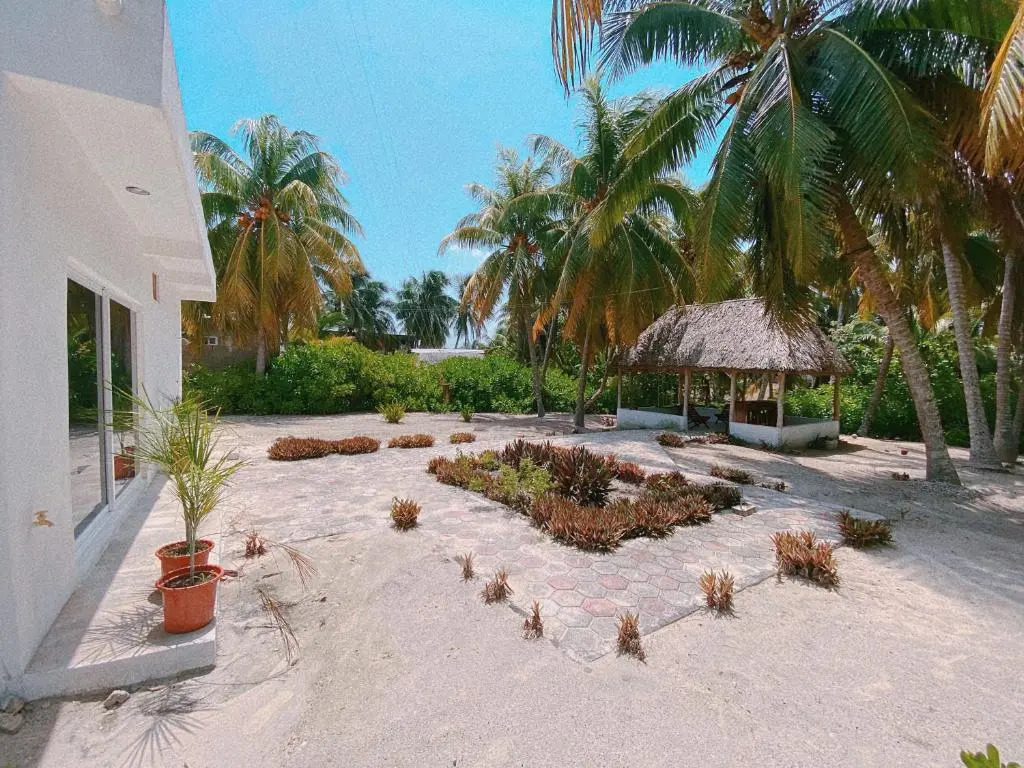 Coconut Palm House - El Cuyo