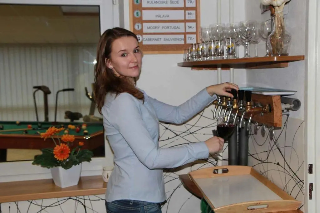 Bed & Breakfast Penzion Brno