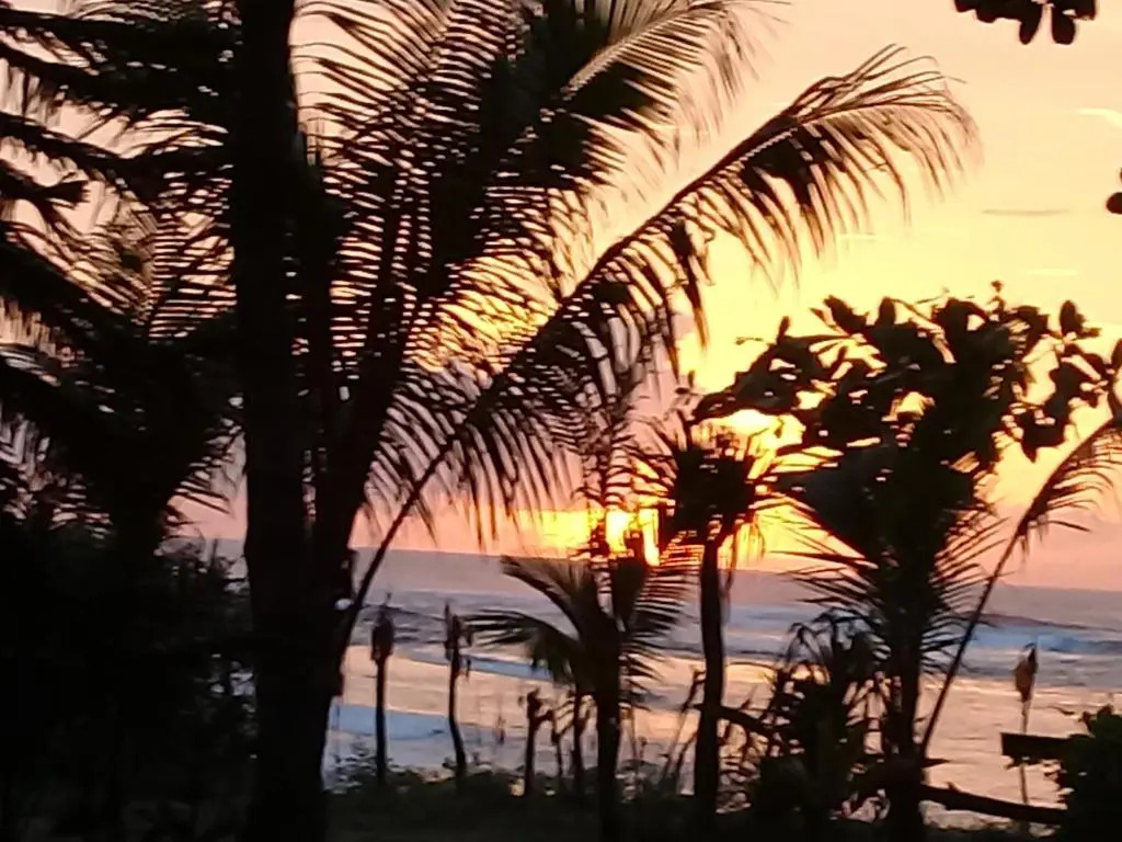 Castaway Surf Retreat