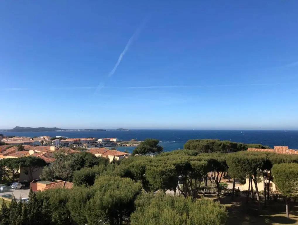 Boost Your Immo Six Fours les Plages Drakkar 733