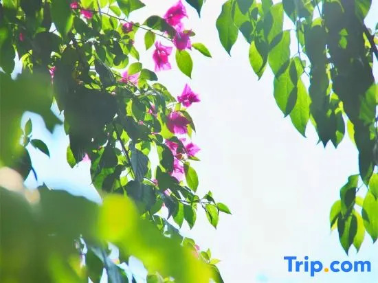 Jiuzhaigou happy sunshine home stay