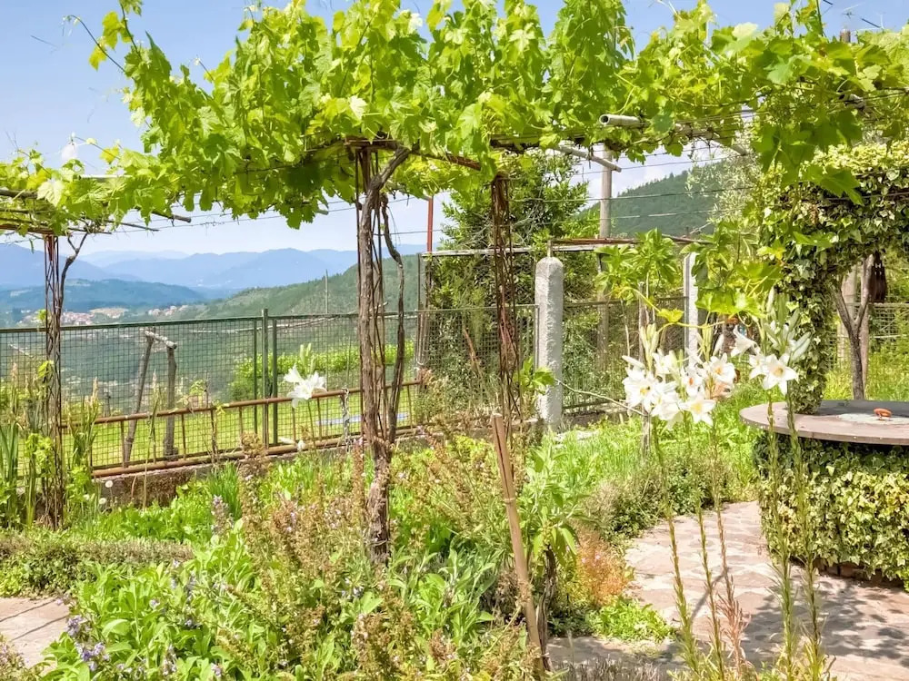 Belvilla by OYO Villa Cerignano