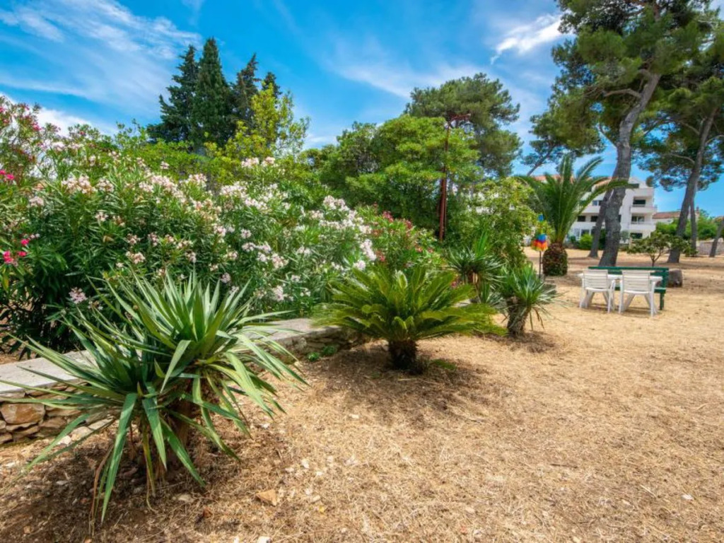 Apartment Mirta Castiglioncello 38643