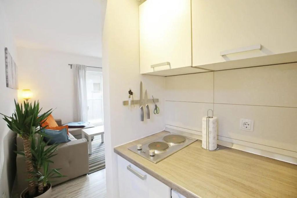 Apartment The Flat