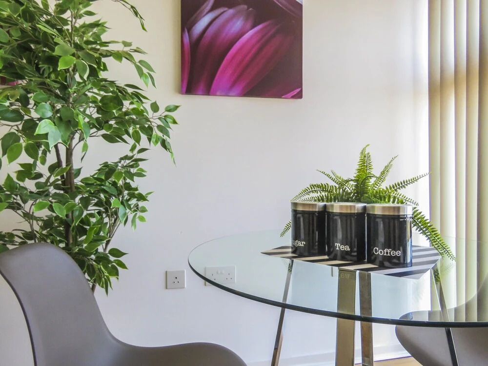 Panorama Suite - Studio The Cube