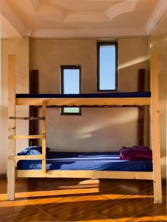 Mad Vervet Hostel - Addis