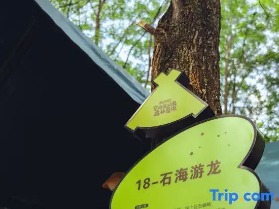 Qiongqia Firefly Forest Camping Hotel