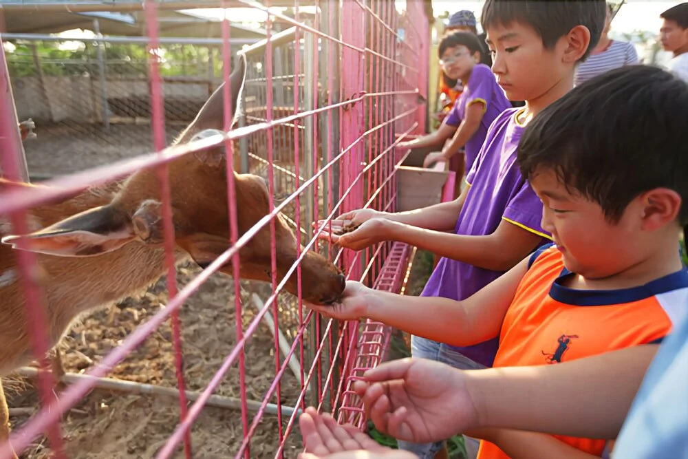 Jebudo Animal Café and Pension