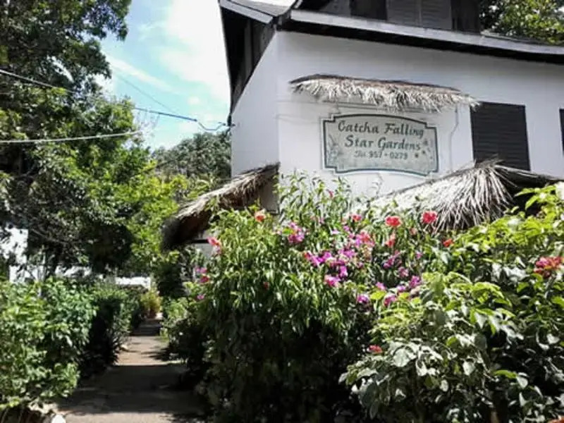 Ltu Garden