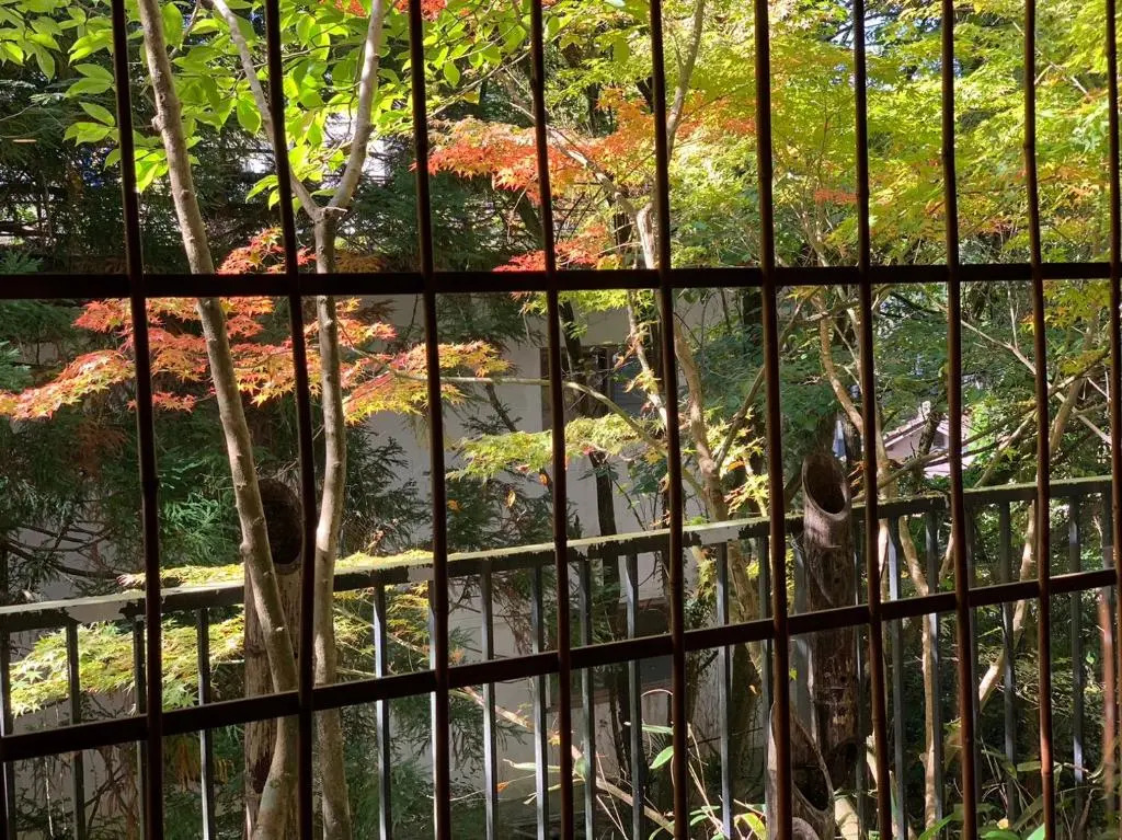Kinosato Yamanoyu