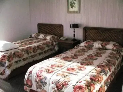 Hostal Terrasur