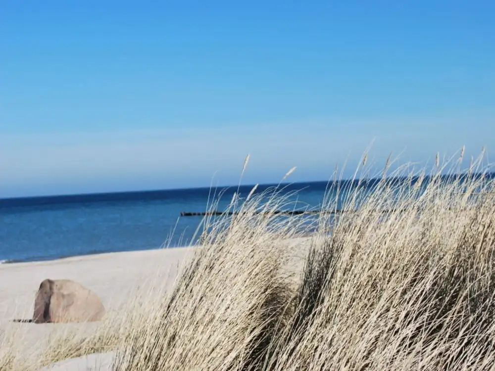 Cozy Apartment in Kuhlungsborn Germany near Beach