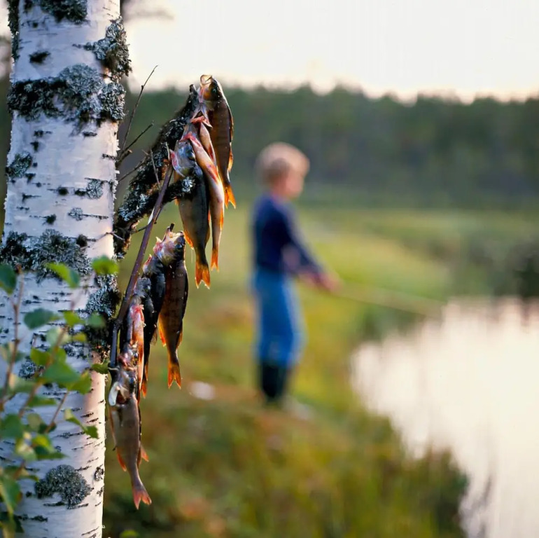 Fjällfrid stugby