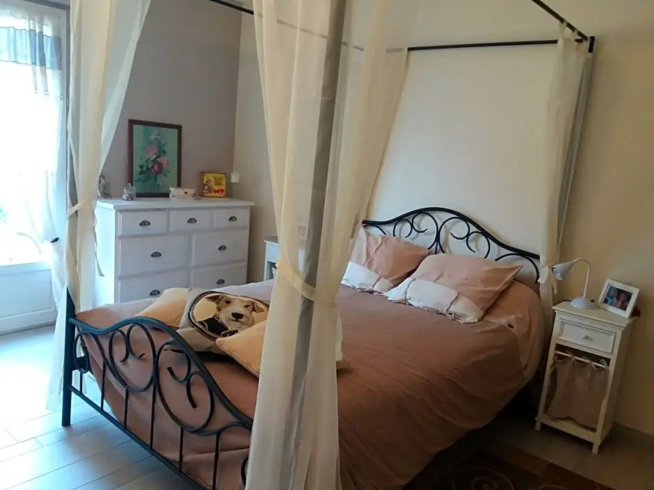 Les Mouettes 1 gite et 4 chambres d hote, jardin ,bords de Loire