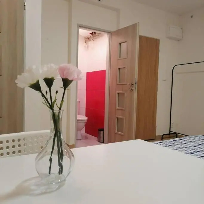 Cozy apartment in the city center!!