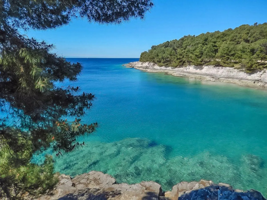Martinovic